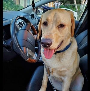 Meet your Posher, Hailey